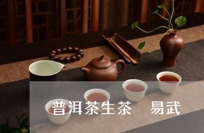 普洱茶生茶 易武/2023031685959